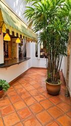 Anthony Road (D9), Terrace #636115451